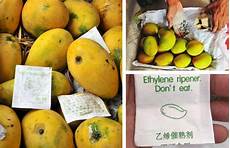 Ethylene Mango