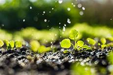 Agricultural Irrigation Systems