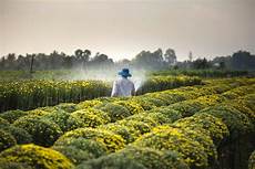 Agro Chemicals