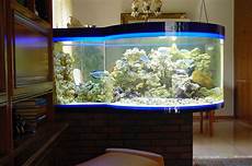 Aquarium Adhesive