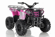 Atv Carburetor