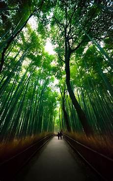 Bamboo Crafts