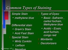 Basic Dyes