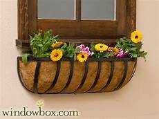 Basket Liners
