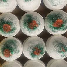 Bath Fizzies