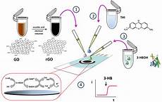 Bio Enzyme