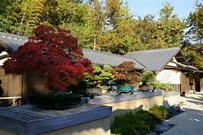 Bonsai