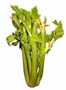 Calcium