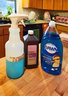 Carpet Shampoo