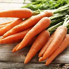 Carrot Soap