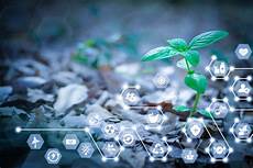 Chemical For Industry