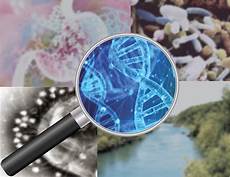 Chemical Projects