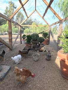 Chicken Feed