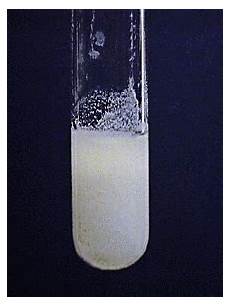 Chloride