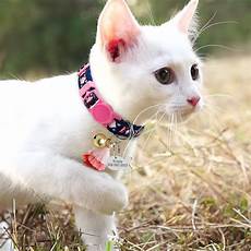 Collar  Cm