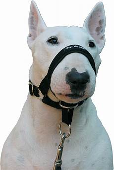 Collars