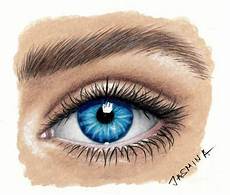 Colored Pencils