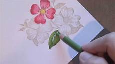 Colored Pencils