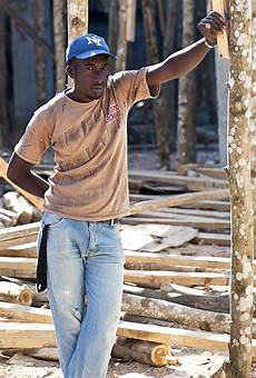 Construction & Real Estate