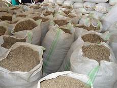 Cotton Seed Meal