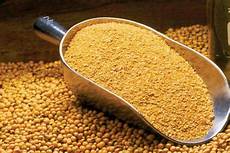 Cotton Seed Meal