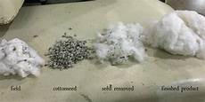 Cotton Seed Meal