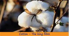 Cotton Yarn Cotton Yarn