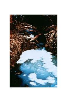 Detergent