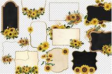 Digital Photo Frames