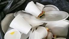Disposable Plates