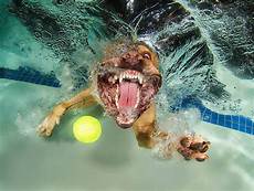 Diving