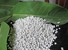 Dolomite