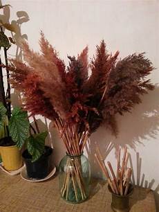 Dried Flowers