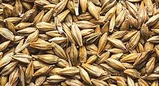 Dried Grain Products