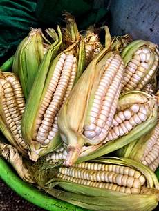 Dried Kernels