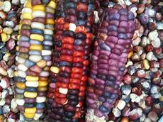 Dried Vegetables