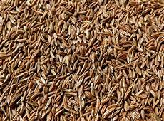 Dried Vegetables