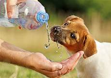 Drinking Water