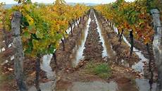 Drip Irrigation