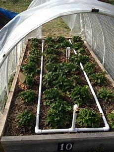 Drip Irrigation