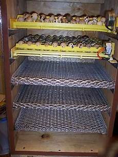 Egg Trays