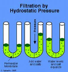 Electrolyte Balance and Dialysis Agents