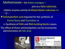 Endocrine System Agents