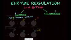 Enzyme