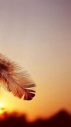 Feather