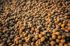 Feed Additives