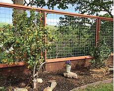 Fencing, Trellis & Gates
