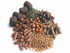 Fish Feed
