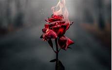 Flame