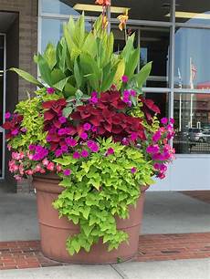 Flower Pots
